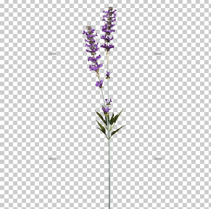 English Lavender Twig Branch Artificial Flower Shrub PNG, Clipart, Artificial Flower, Branch, Centimeter, Color, Common Ivy Free PNG Download