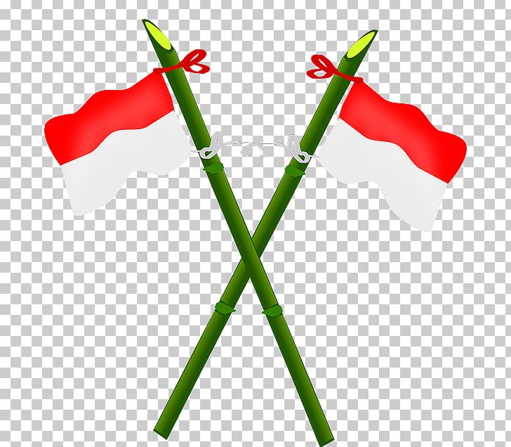 Flag Of Indonesia Indonesian National Revolution PNG, Clipart, Flag, Flag Of Indonesia, Flag Of Mongolia, Flags Of The World, Grass Free PNG Download