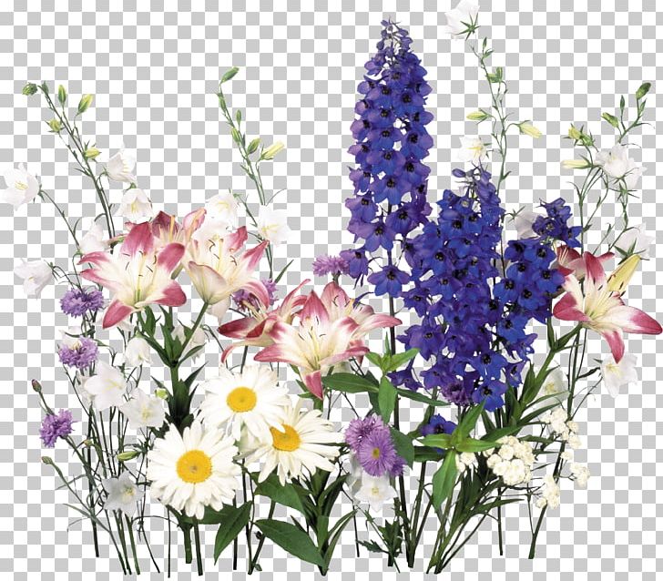Flower Of The Fields Flower Bouquet PNG, Clipart, Annual Plant, Art, Artificial Flower, Cut Flowers, Delphinium Free PNG Download
