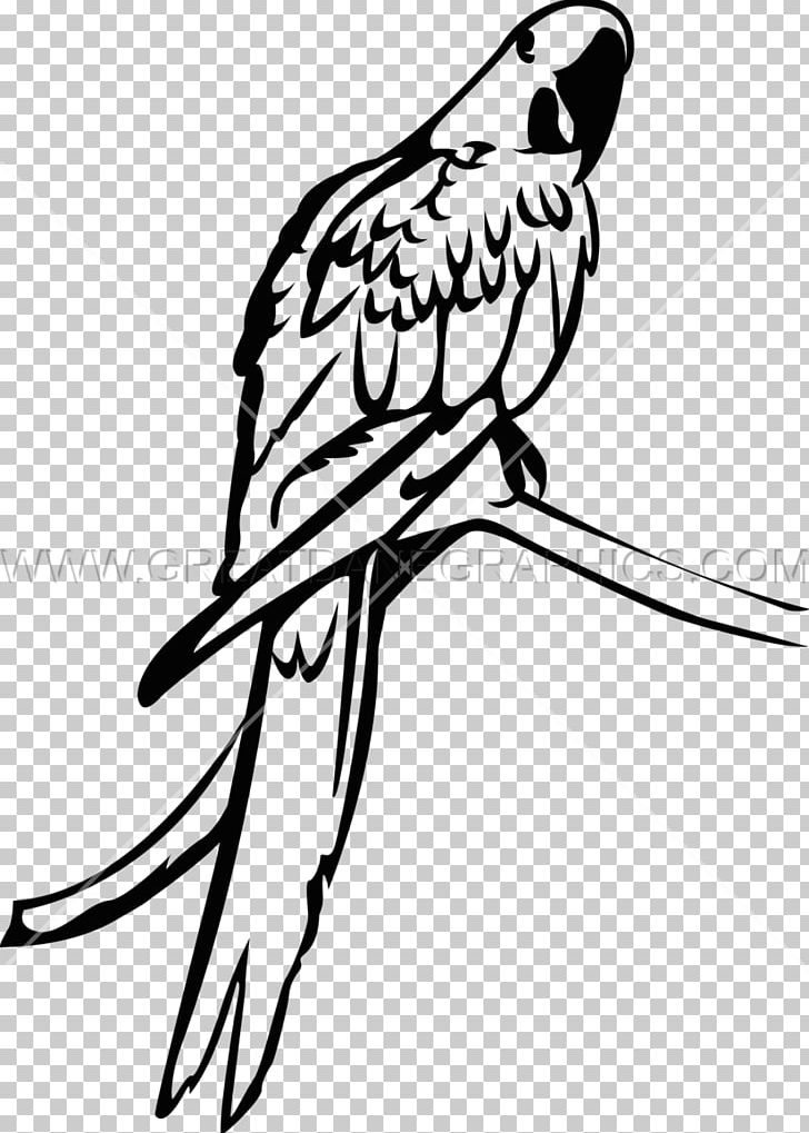 Macaw Parrot Parakeet Bird PNG, Clipart, Animals, Art, Artwork, Beak, Bird Free PNG Download