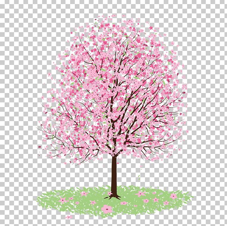 Cherry Blossom PNG, Clipart, Blossom, Branch, Cherry, Cherry Blossom, Clip Art Free PNG Download