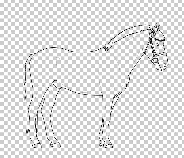 North American Sportpony Line Art Mule Connemara Pony PNG, Clipart, Arm, Art, Artwork, Black And White, Bridle Free PNG Download