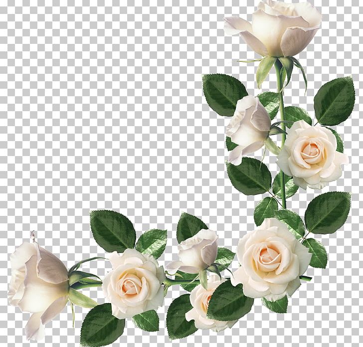Photography PNG, Clipart, Animation, Artificial Flower, Cartoon, Cut Flowers, Drawing Free PNG Download