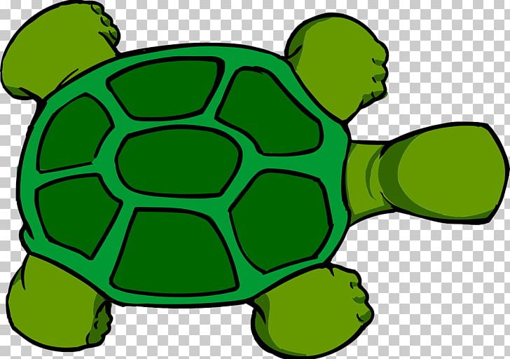 Sea Turtle PNG, Clipart, Animals, Artwork, Computer Icons, Download, Grass Free PNG Download
