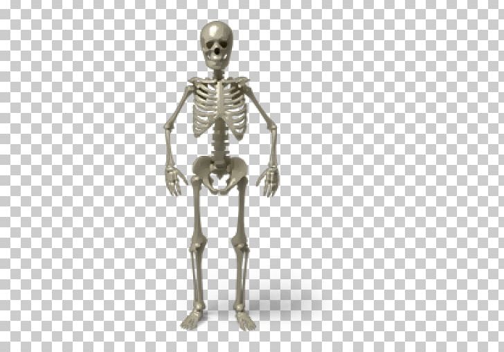 Computer Icons Skull Human Skeleton PNG, Clipart, Anatomy, Bone, Computer Icons, Desktop Wallpaper, Download Free PNG Download