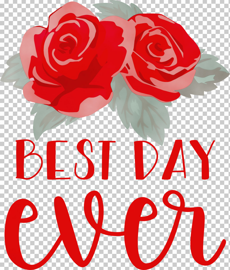 Garden Roses PNG, Clipart, Best Day Ever, Cut Flowers, Drawing, Flower, Flower Bouquet Free PNG Download