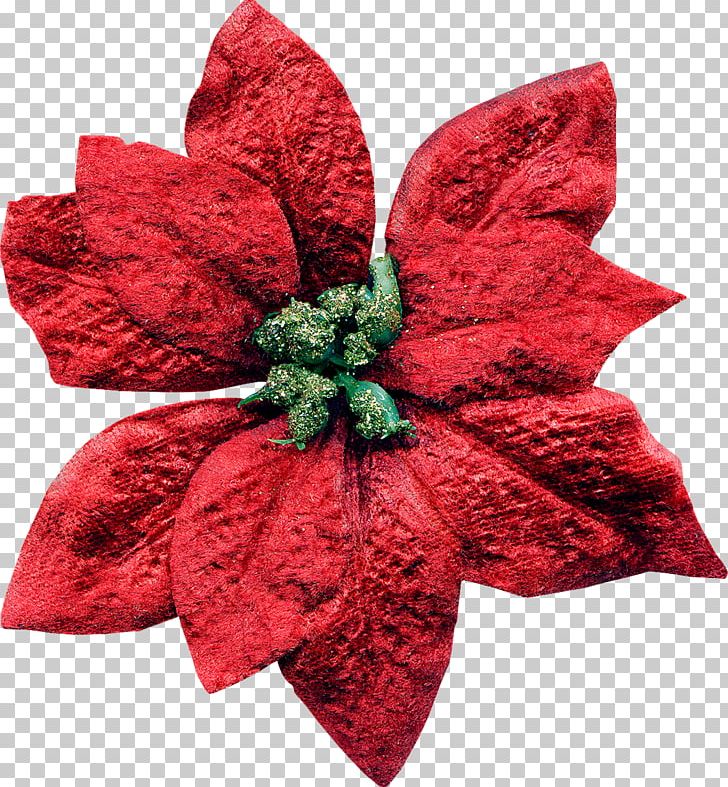 Cut Flowers Christmas Decoration Christmas Ornament Petal PNG, Clipart, Christmas, Christmas Decoration, Christmas Ornament, Cut Flowers, Flower Free PNG Download