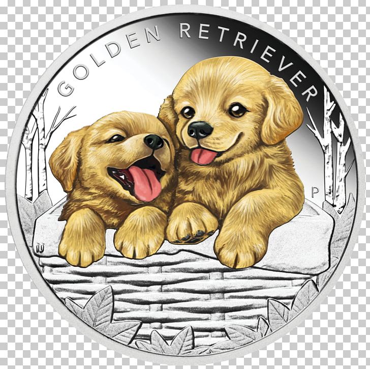 Golden Retriever Perth Mint Puppy The Border Collie: A Guide To Selection PNG, Clipart, Animals, Border Collie, Carnivoran, Coin, Companion Dog Free PNG Download