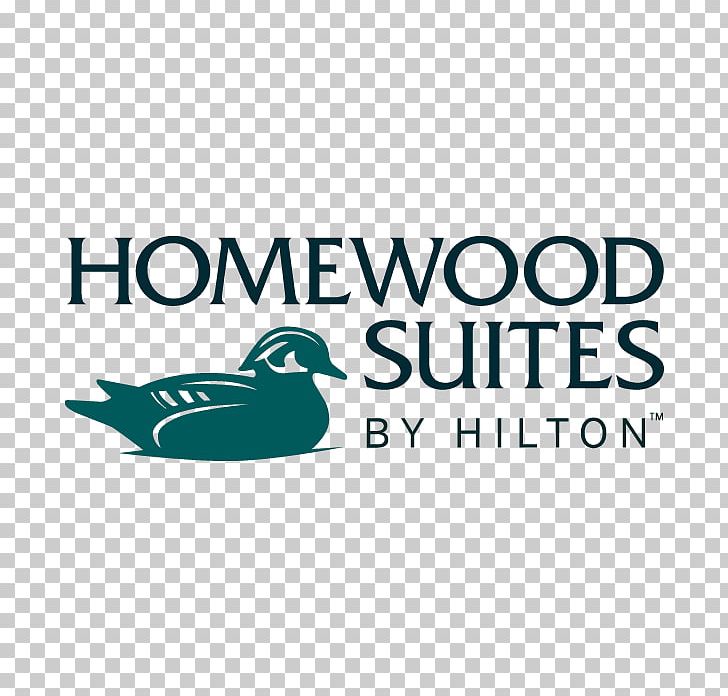 Homewood Suites By Hilton Allentown Bethlehem Center Valley Hotel Hilton Worldwide PNG, Clipart, Accommodation, Beak, Bird, Brand, Duck Free PNG Download