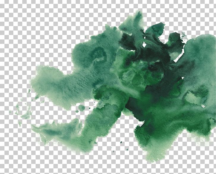 Watercolor Painting Green Tea PNG, Clipart, Bran, Cactus, Collection, Color, Environment Free PNG Download