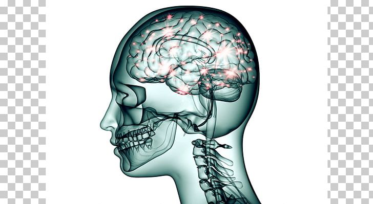 Brain Topiramate Neuron Neurology Nervous System PNG, Clipart, Bone, Brain, Brain Metastasis, Epileptic Seizure, Head Free PNG Download