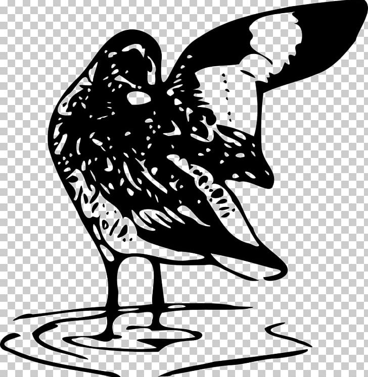 Line Art PNG, Clipart, Art, Artwork, Beak, Bird, Black And White Free PNG Download