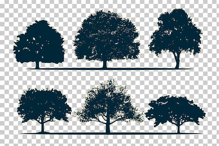 Silhouette Oak Tree PNG, Clipart, Animals, Branch, Christmas Tree, Computer Wallpaper, Download Free PNG Download