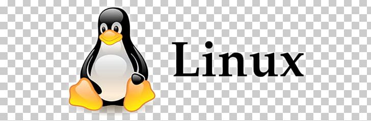 Technology Linux Computer Servers Brand Product Design PNG, Clipart, Beak, Bird, Brand, Cloud Computing, Computer Servers Free PNG Download