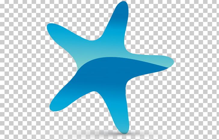 Starfish Logo PNG, Clipart, Aircraft, Airplane, Air Travel, Animals, Aqua Free PNG Download