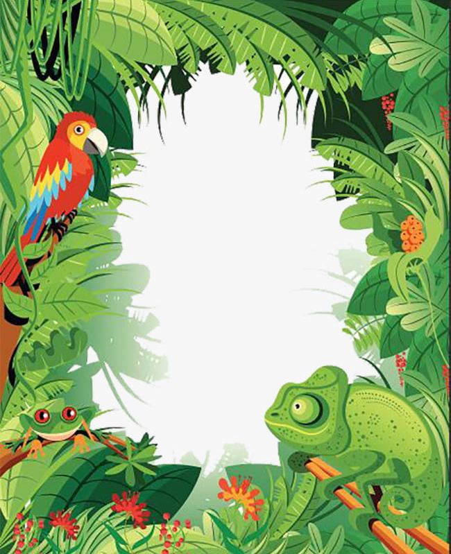 Tropical Rainforest Animals PNG, Clipart, Animal, Animals ...