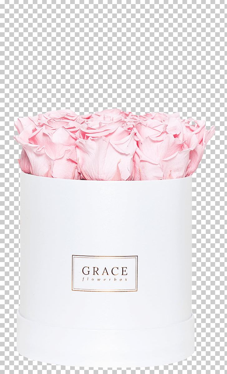 Flavor Pink M Cream PNG, Clipart, Cream, Flavor, Others, Peach, Petal Free PNG Download