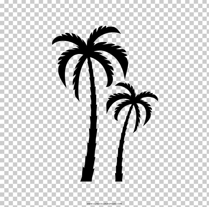 Drawing Coloring Book Arecaceae PNG, Clipart, Animals, Arecaceae, Arecales, Black And White, Branch Free PNG Download