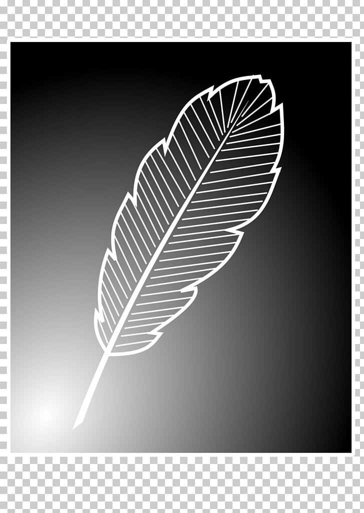 Feather Bird Black And White PNG, Clipart, Animals, Bird, Black And White, Color, Feather Free PNG Download