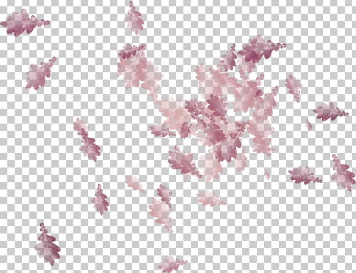 Leaf Petal PNG, Clipart, Autumn, Autumn Leaf Color, Blossom, Branch, Cherry Blossom Free PNG Download