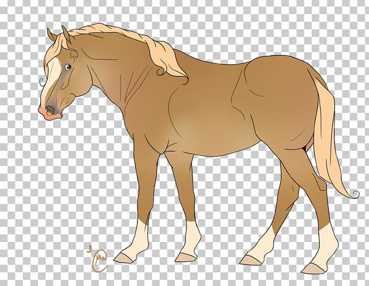Pony Rein Foal Mustang Stallion PNG, Clipart, Bink, Bridle, Colt, Equestrian, Foal Free PNG Download