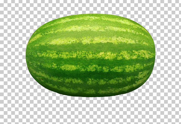 Watermelon Cantaloupe Honeydew Seedless Fruit PNG, Clipart, Canker, Cartoon Watermelon, Citrullus, Crisp, Cucumber Free PNG Download