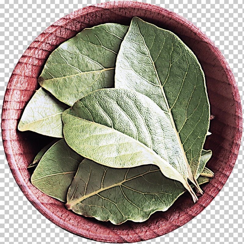 Parsley PNG, Clipart, Autumn Leaf Color, Cabbage, Fruit Vegetable, Leaf, Leaf Vegetable Free PNG Download