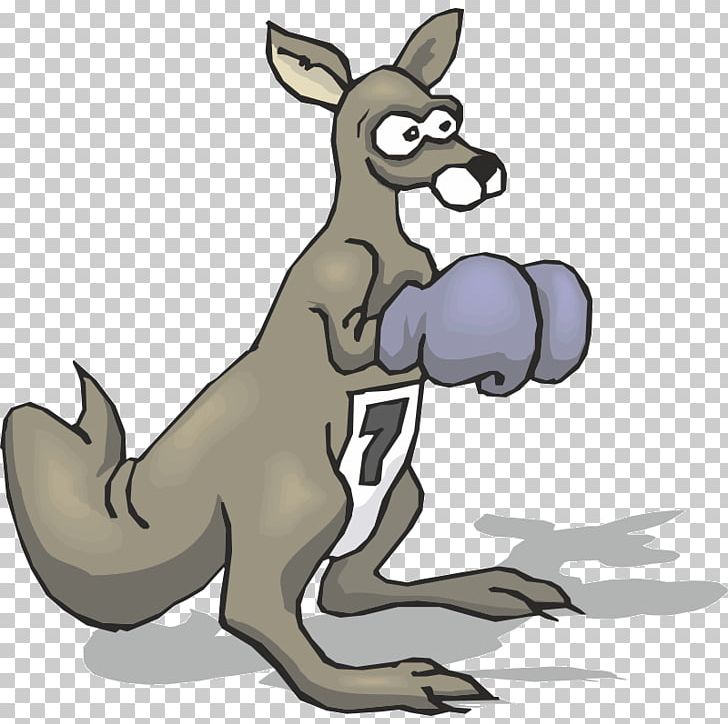 Boxing Kangaroo Boxing Glove Red Kangaroo PNG, Clipart, Animal, Animal Figure, Australia, Boxing, Boxing Glove Free PNG Download