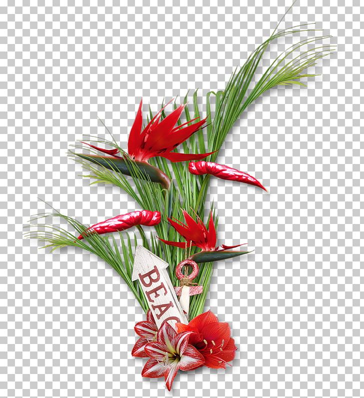 Floral Design Cut Flowers Strelitzia Reginae PNG, Clipart, Bird Of Paradise Flower, Cari, Christmas Ornament, Cut Flowers, Download Free PNG Download