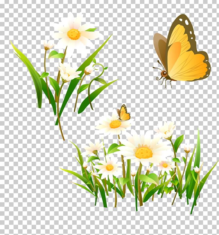 Brush Footed Butterfly Grass Flower PNG, Clipart, Arthropod, Blog, Brush Footed Butterfly, Butterfly, Daisy Free PNG Download