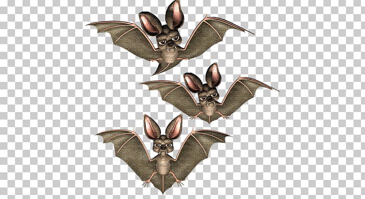 Halloween Bat Boszorkány PNG, Clipart, Animal, Bat, Bayram, Black Cat, Drawing Free PNG Download