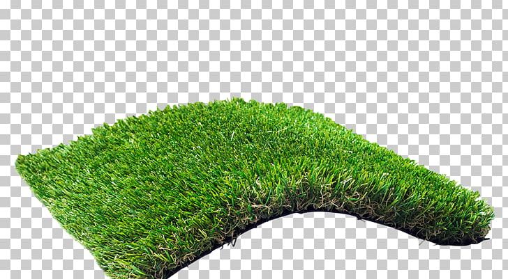 Lawn Artificial Turf Garden Portable Network Graphics PNG, Clipart, Artificial Turf, Balcony, Carpet, Fieldturf, Football Pitch Free PNG Download