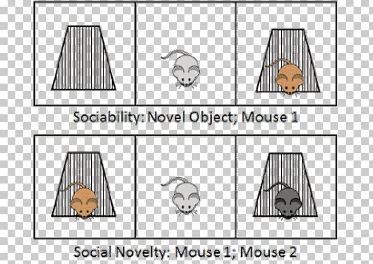 Mouse Social Relation Interaction Mammal PNG, Clipart, Angle, Animals, Area, Art, Behavior Free PNG Download