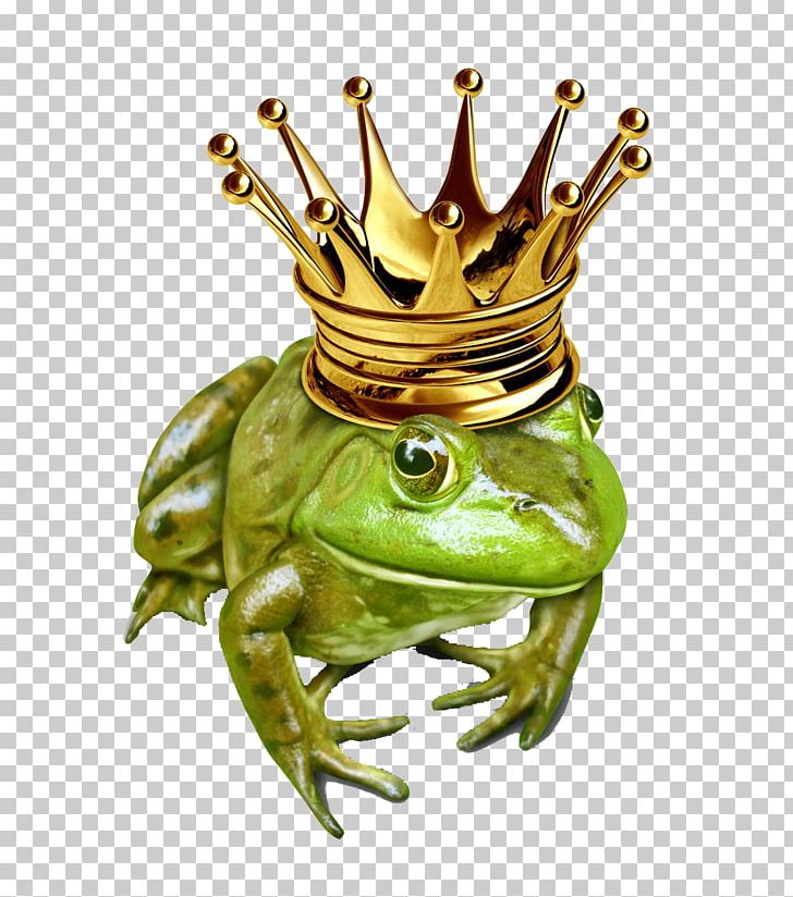 The Frog Prince Stock Illustration Stock Photography PNG, Clipart, Amphibian, Animals, Crown, Drawing, Fairy Tale Free PNG Download