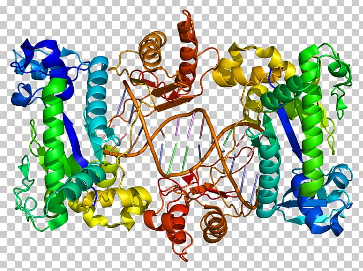 AOC3 DNA Polymerase Gene Enzyme Amine Oxidase (copper-containing) PNG, Clipart, Antibody, Art, Dna, Dna Polymerase, Enzyme Free PNG Download