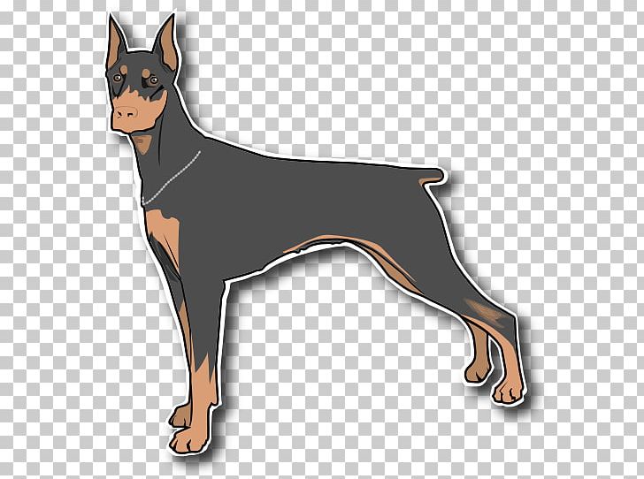 Dobermann Miniature Pinscher Great Dane PNG, Clipart, Ancient Dog Breeds, Black And Tan Terrier, Carnivoran, Doberman Cliparts, Dog Free PNG Download