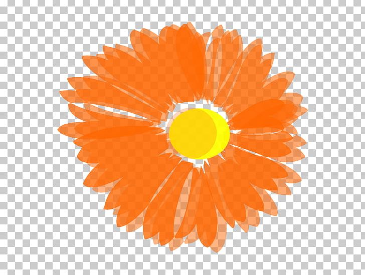 Flower Orange Blossom PNG, Clipart, Blossom, Blue, Circle, Clip Art, Color Free PNG Download