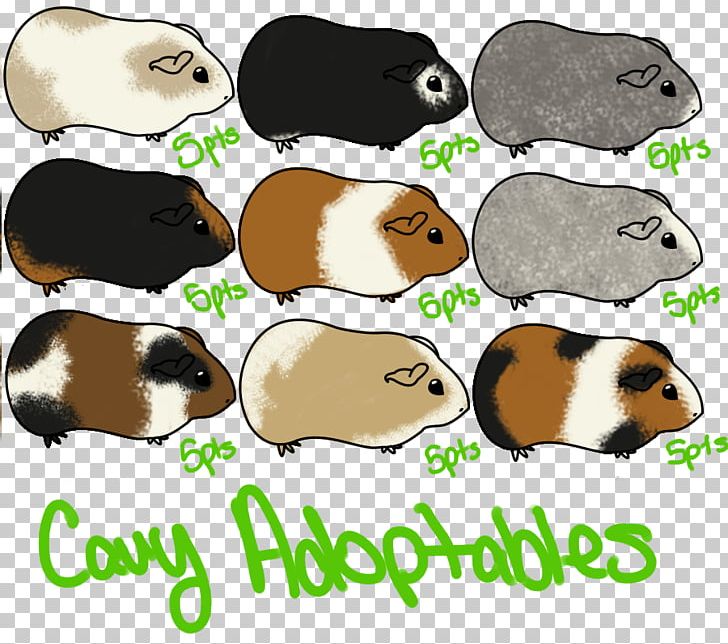 Rodent Guinea Pig Mouse Pet Muroidea PNG, Clipart, Animal, Animals, Fauna, Guinea, Guinea Pig Free PNG Download