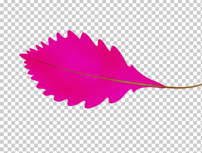 Leaf Petal M-tree Purple Line PNG, Clipart, Autumn Leaf, Biology, Cartoon Leaf, Fall Leaf, Leaf Free PNG Download