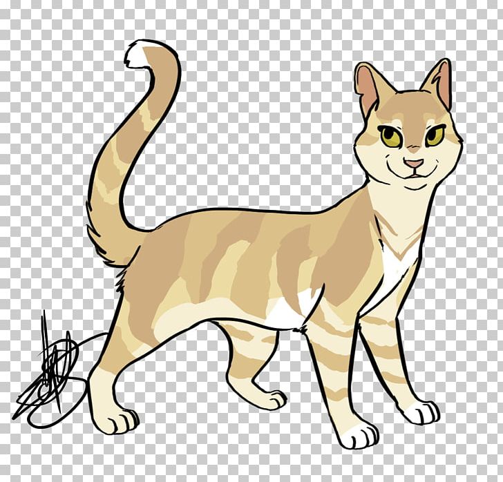Whiskers Sokoke Sandstorm Tabby Cat Domestic Short-haired Cat PNG, Clipart, Animal, Carnivoran, Cat, Cat Like Mammal, Claw Free PNG Download
