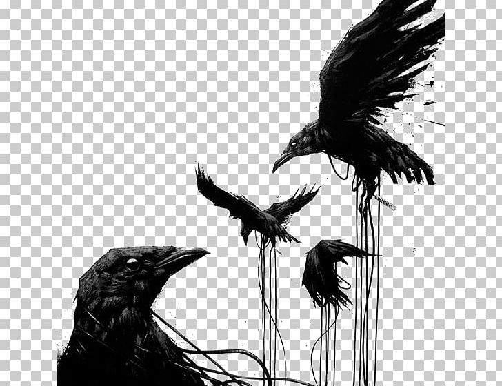 Common Raven Bird House Crow Tattoo Art PNG, Clipart, Animals, Art, Beak, Bird, Birds Free PNG Download