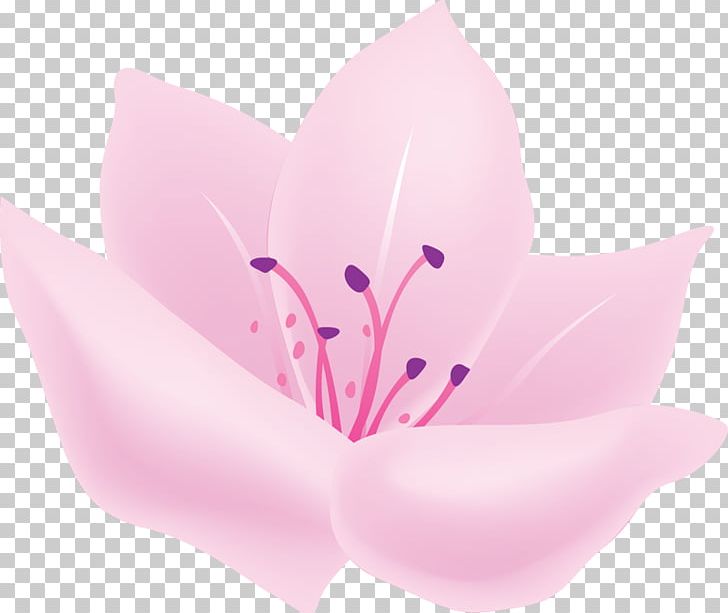 Petal Flower Desktop Painting PNG, Clipart, Charcoal, Cicek, Cicek Resimleri, Closeup, Color Free PNG Download