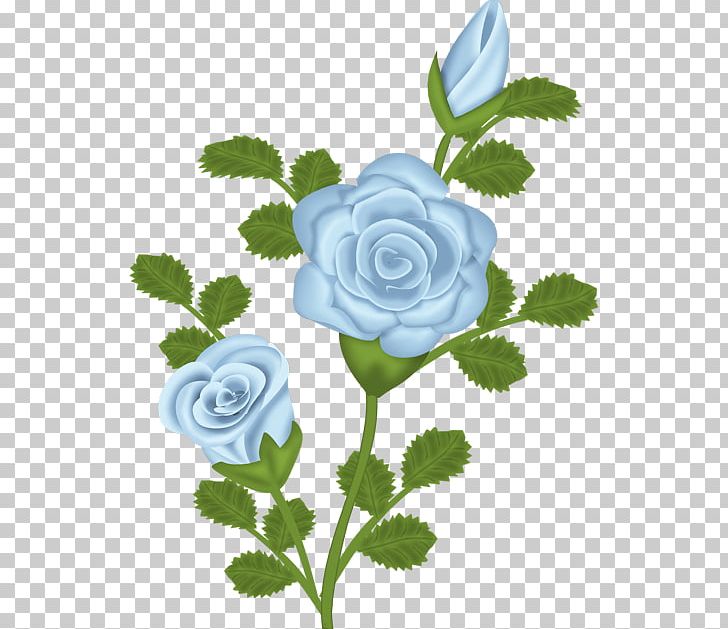 Rose Purple Flower PNG, Clipart, Blue, Blue Rose, Blue Rose Cliparts, Computer Icons, Cut Flowers Free PNG Download