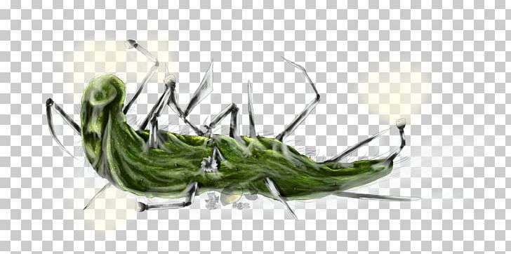 The Maze Runner Minho Griever Teresa PNG, Clipart, Alby, Arthropod, Cricket Like Insect, Glader, Grass Free PNG Download