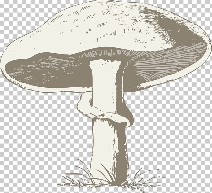 Common Mushroom Morchella PNG, Clipart, Amanita Muscaria, Black And White, Cartoon, Cartoon Mushrooms, Chanterelle Free PNG Download