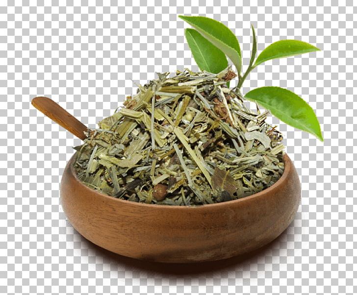 Hibiscus Tea Hōjicha Green Tea Equisetum PNG, Clipart, Bai Mudan, Bancha, Biluochun, Cha Cha, Dianhong Free PNG Download