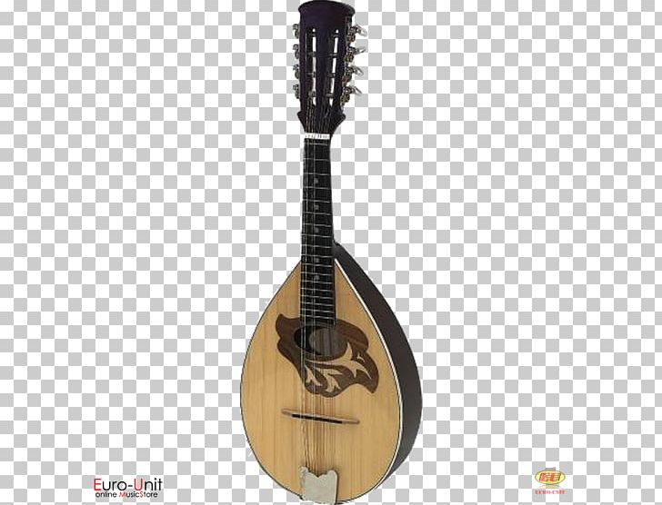 Mandolin Tiple Cuatro Acoustic-electric Guitar Bağlama PNG, Clipart, Acousticelectric Guitar, Acoustic Electric Guitar, Baglama, Banjo, Banjo Guitar Free PNG Download