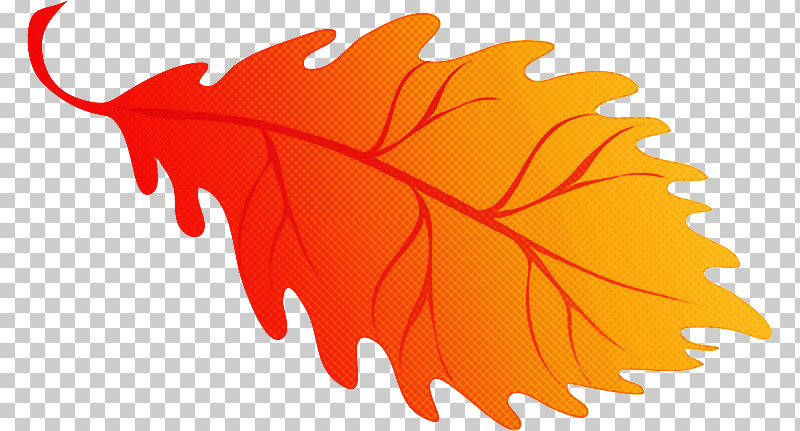 Maple Leaf PNG, Clipart, Autumn, Computer, Leaf, Maple, Maple Leaf Free PNG Download