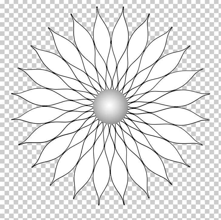 Icositetragon Mirror Star Polygon PNG, Clipart, Angle, Area, Bedroom, Black And White, Circle Free PNG Download