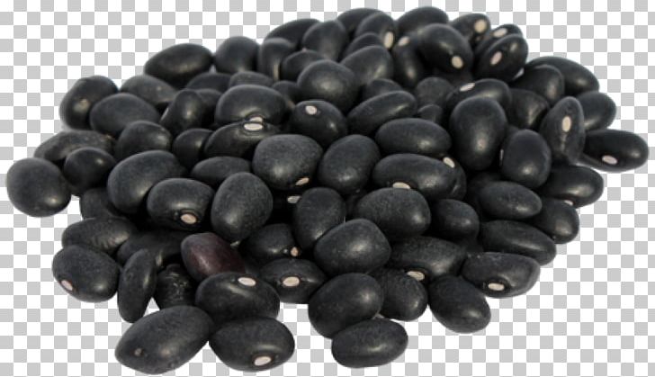 Black Turtle Bean Food Lentil PNG, Clipart, Bean, Beans, Berry, Black Bean, Black Beans Free PNG Download